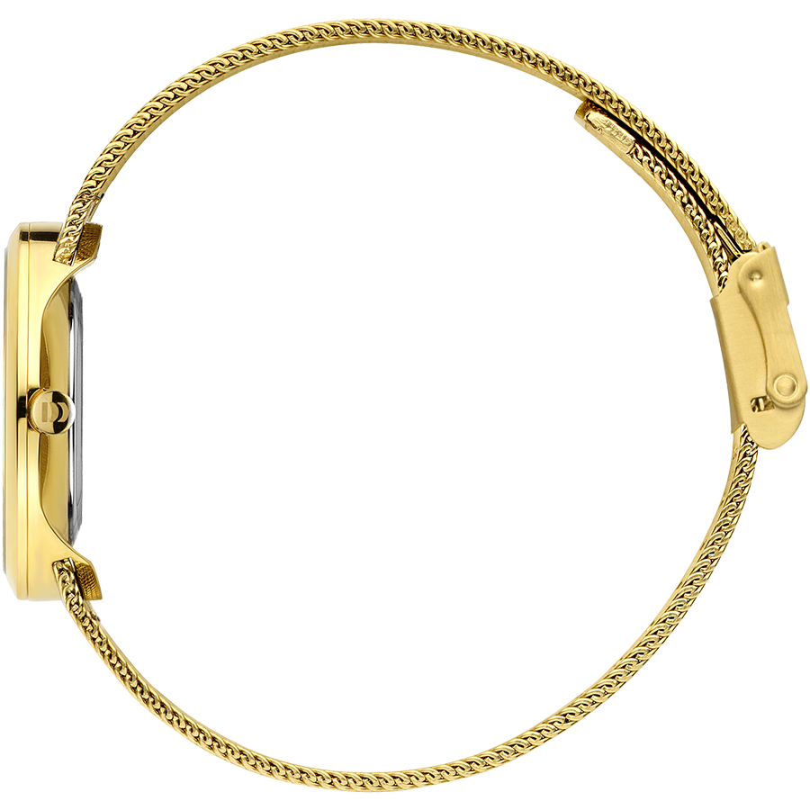 Rome Gold White Marble