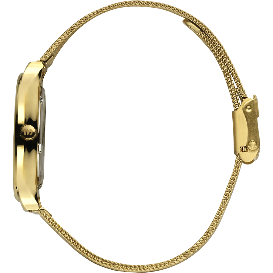 Georgia Gold Mesh