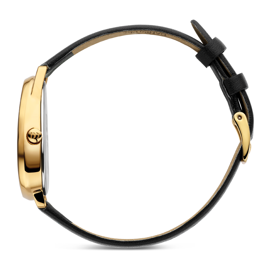 Fjordsten Gold Black