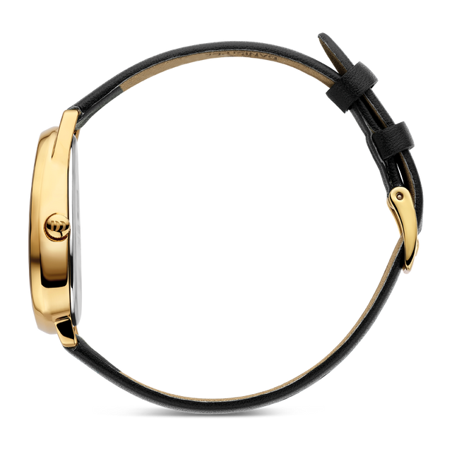 Fjordsten Gold Black