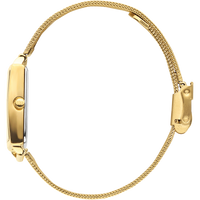 Miami Gold Mesh