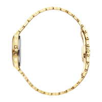 DKx Pro Gold Embossed Sunray S