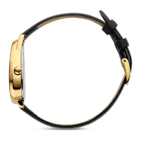 Fjordsten Gold Black
